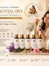 5 Combo Essential Oil